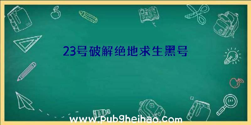 23号破解绝地求生黑号