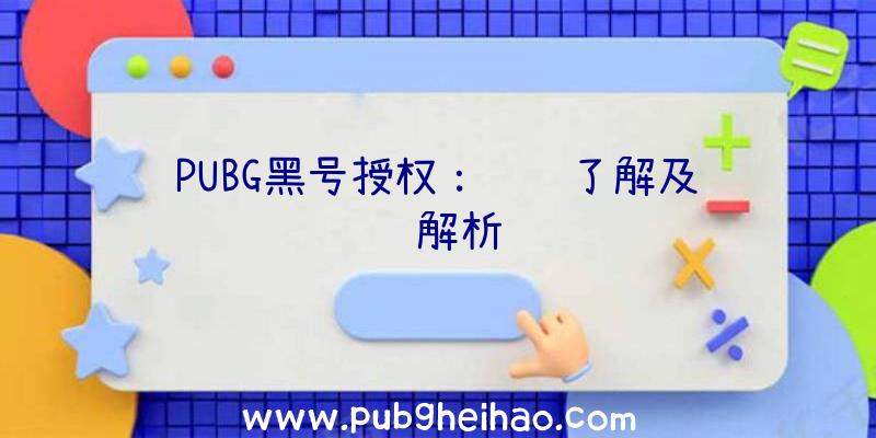 PUBG黑号授权：详细了解及风险解析