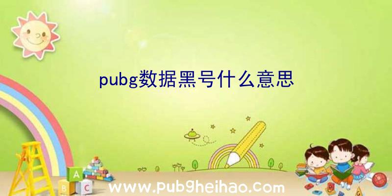 pubg数据黑号什么意思