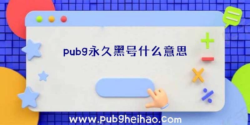 pubg永久黑号什么意思