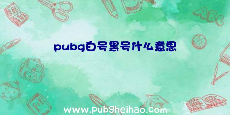 pubg白号黑号什么意思