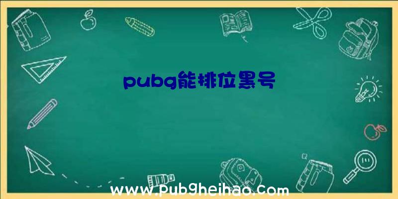 pubg能排位黑号