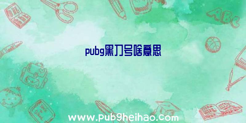 pubg黑刀号啥意思