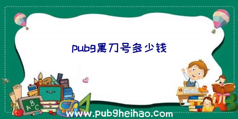 pubg黑刀号多少钱