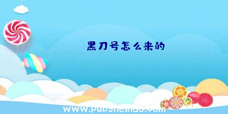 pubg黑刀号怎么来的