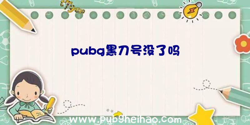 pubg黑刀号没了吗