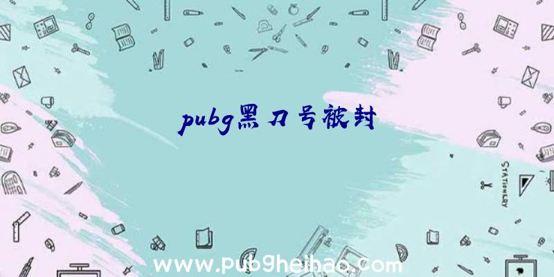 pubg黑刀号被封