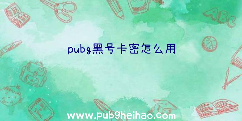 pubg黑号卡密怎么用