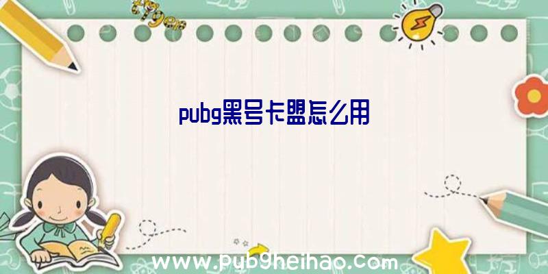 pubg黑号卡盟怎么用