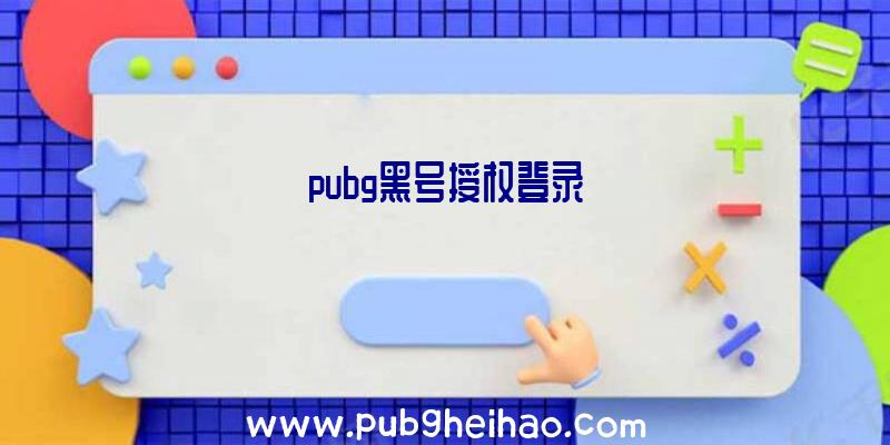 pubg黑号授权登录