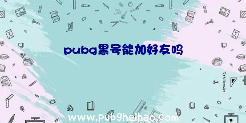 pubg黑号能加好友吗