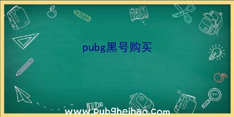 pubg黑号购买