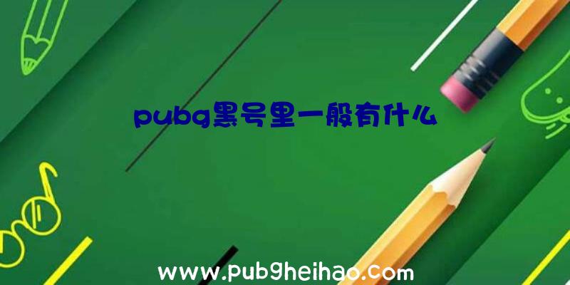 pubg黑号里一般有什么