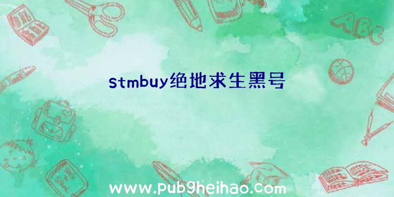 stmbuy绝地求生黑号