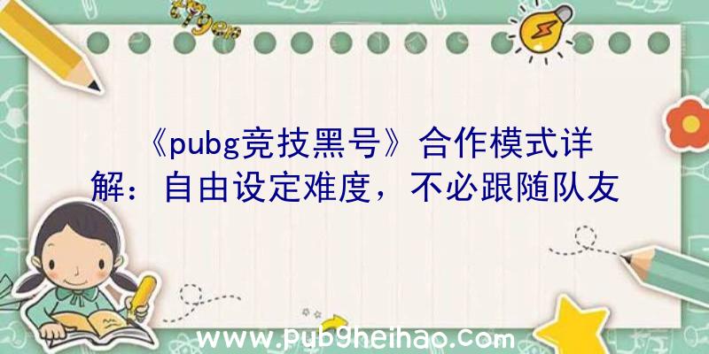 《pubg竞技黑号》合作模式详解：自由设定难度，不必跟随队友行动