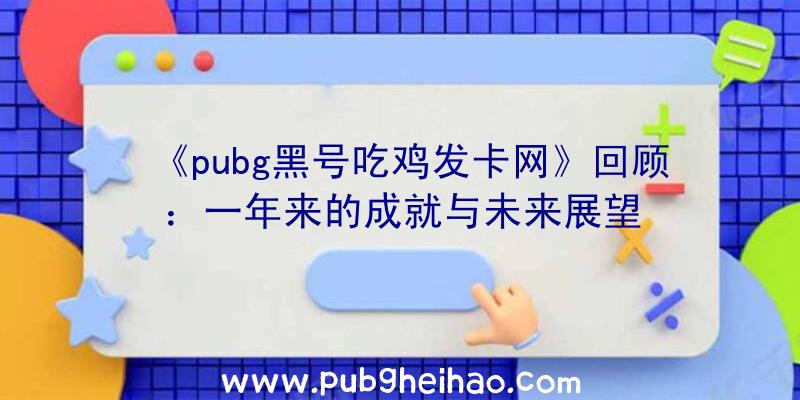 《pubg黑号吃鸡发卡网》回顾：一年来的成就与未来展望