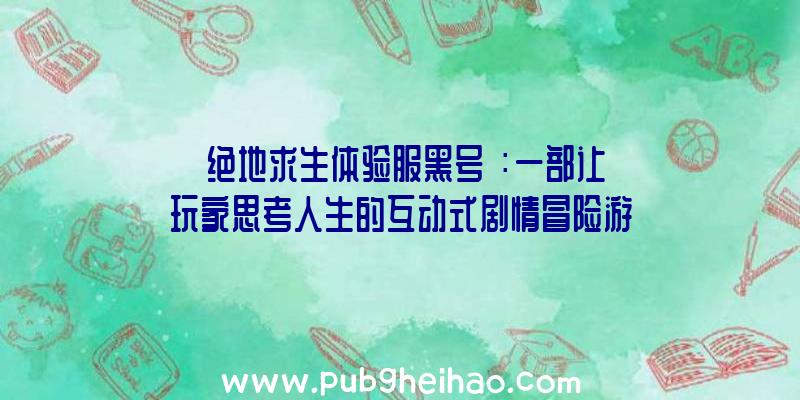 《绝地求生体验服黑号》：一部让玩家思考人生的互动式剧情冒险游戏