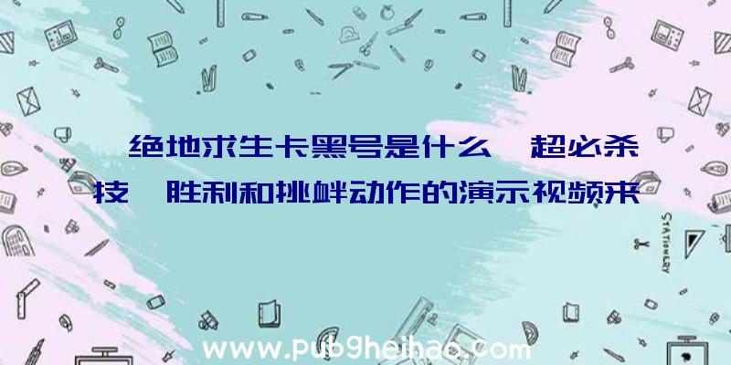 《绝地求生卡黑号是什么》超必杀技、胜利和挑衅动作的演示视频来了！