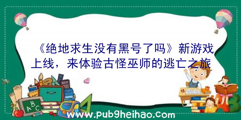 《绝地求生没有黑号了吗》新游戏上线，来体验古怪巫师的逃亡之旅！