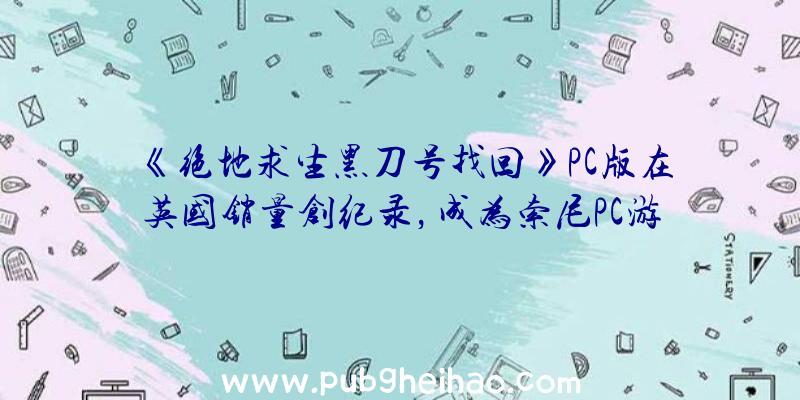 《绝地求生黑刀号找回》PC版在英国销量创纪录，成为索尼PC游戏营收的重要组成部分