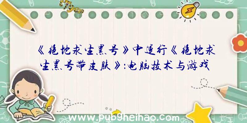 《绝地求生黑号》中运行《绝地求生黑号带皮肤》：电脑技术与游戏文化的奇妙交织