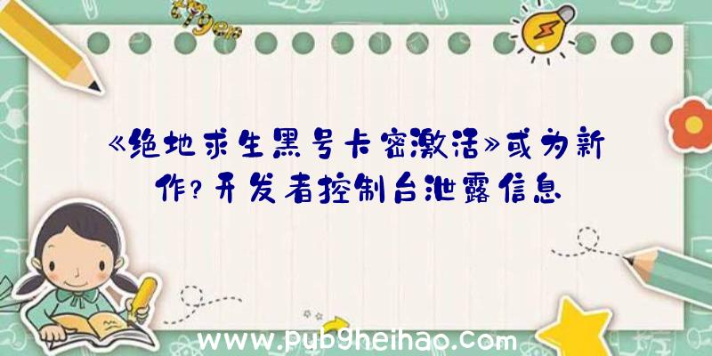 《绝地求生黑号卡密激活》或为新作？开发者控制台泄露信息