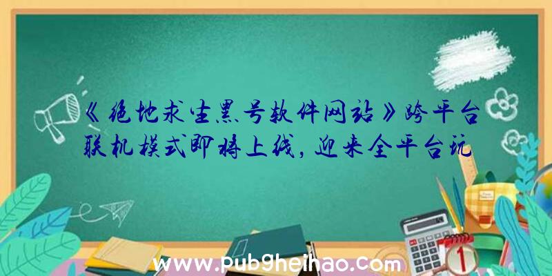 《绝地求生黑号软件网站》跨平台联机模式即将上线，迎来全平台玩家对战新时代！