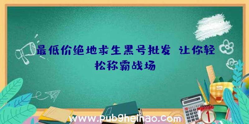 最低价绝地求生黑号批发：让你轻松称霸战场