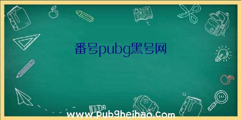 番号pubg黑号网