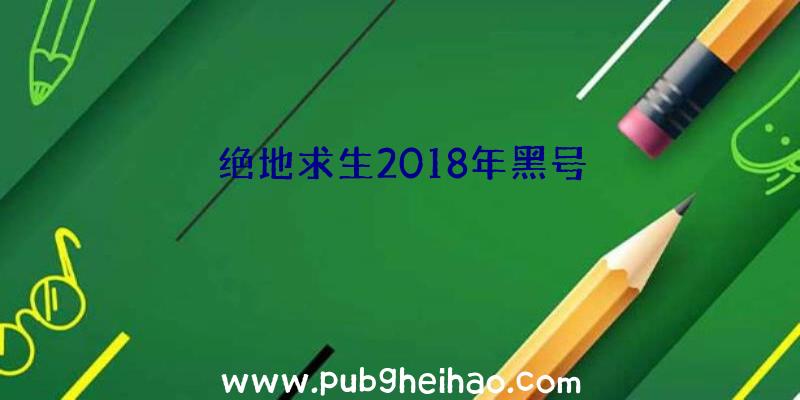 绝地求生2018年黑号