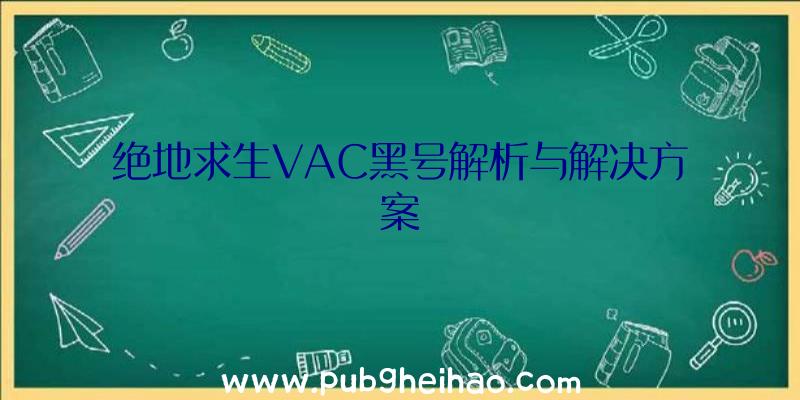 绝地求生VAC黑号解析与解决方案