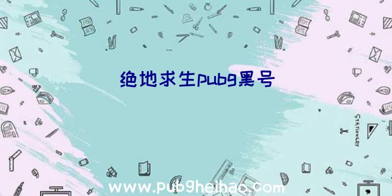 绝地求生pubg黑号