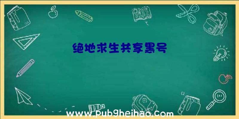 绝地求生共享黑号