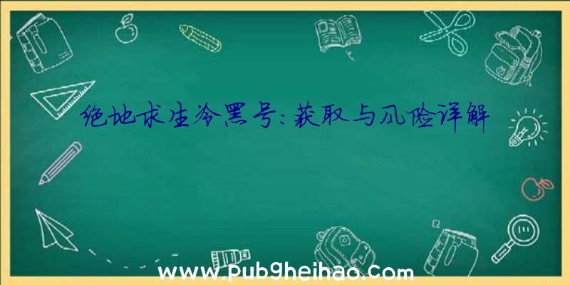 绝地求生冷黑号：获取与风险详解