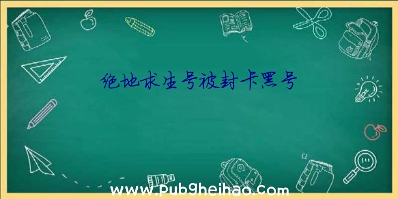 绝地求生号被封卡黑号