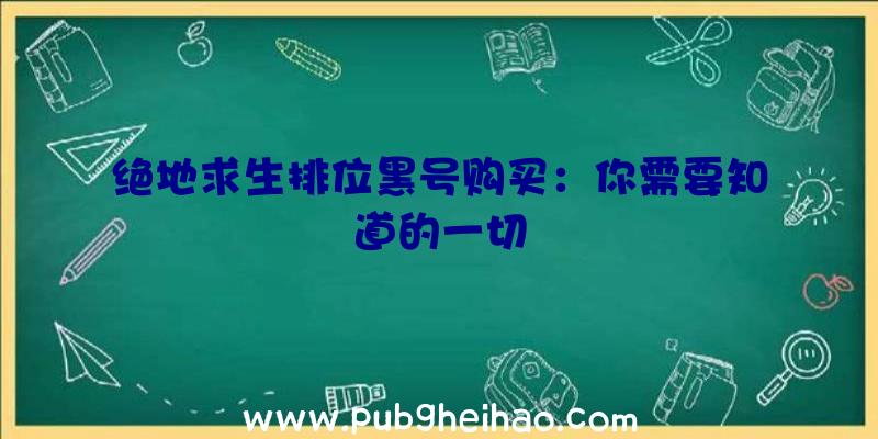 绝地求生排位黑号购买：你需要知道的一切