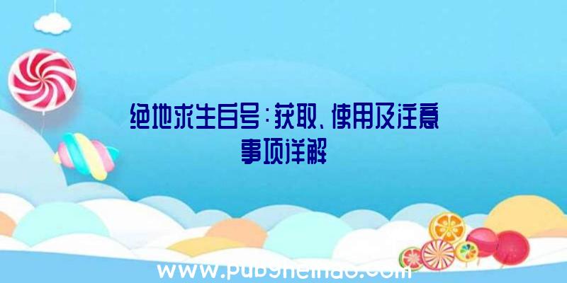 绝地求生白号：获取、使用及注意事项详解