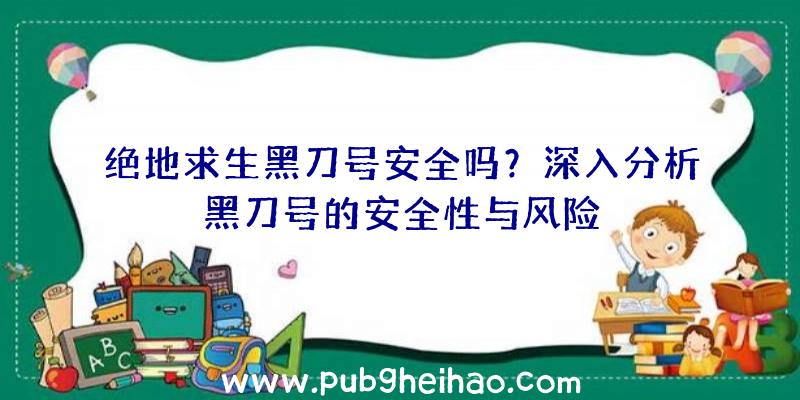 绝地求生黑刀号安全吗？深入分析黑刀号的安全性与风险