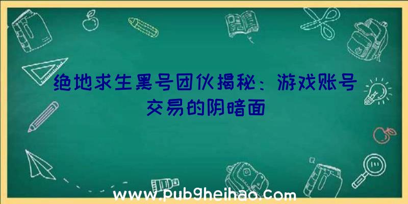 绝地求生黑号团伙揭秘：游戏账号交易的阴暗面