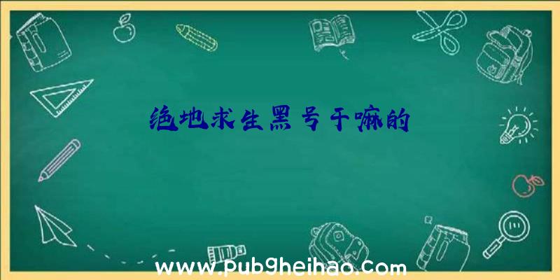 绝地求生黑号干嘛的