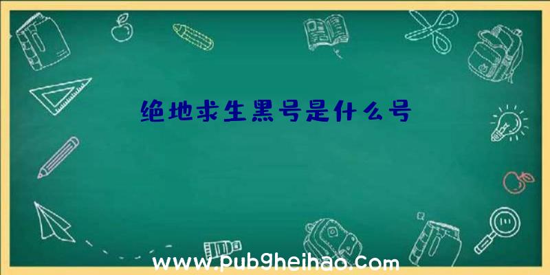 绝地求生黑号是什么号