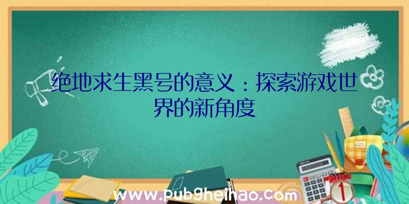 绝地求生黑号的意义：探索游戏世界的新角度