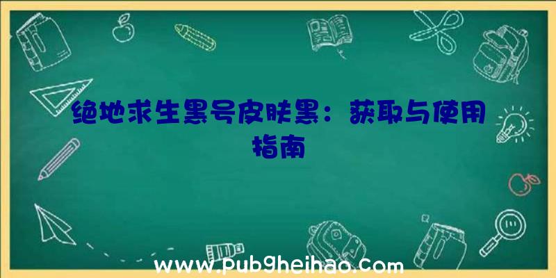 绝地求生黑号皮肤黑：获取与使用指南