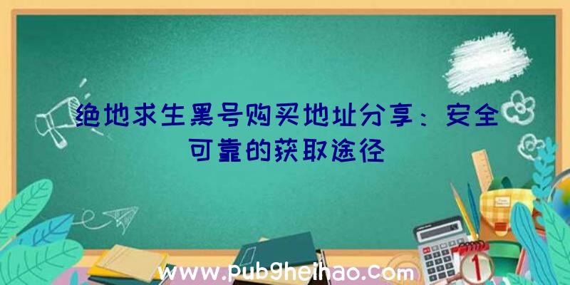 绝地求生黑号购买地址分享：安全可靠的获取途径