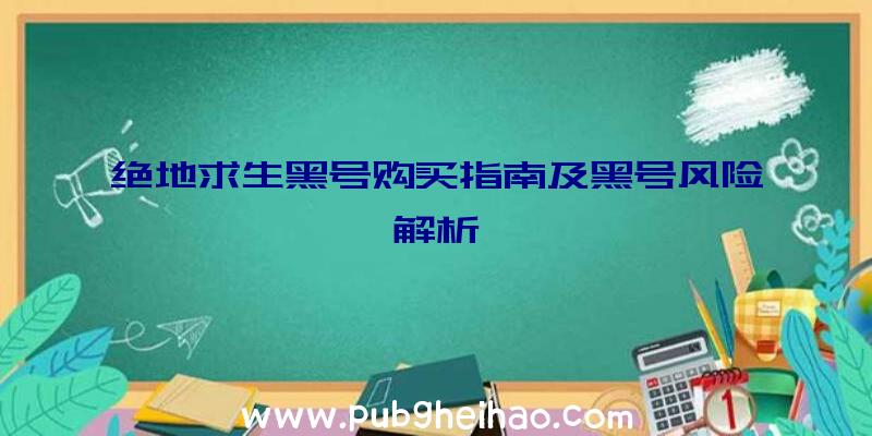 绝地求生黑号购买指南及黑号风险解析