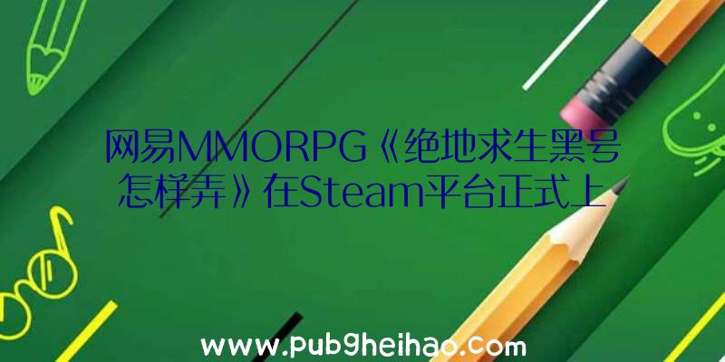 网易MMORPG《绝地求生黑号怎样弄》在Steam平台正式上线