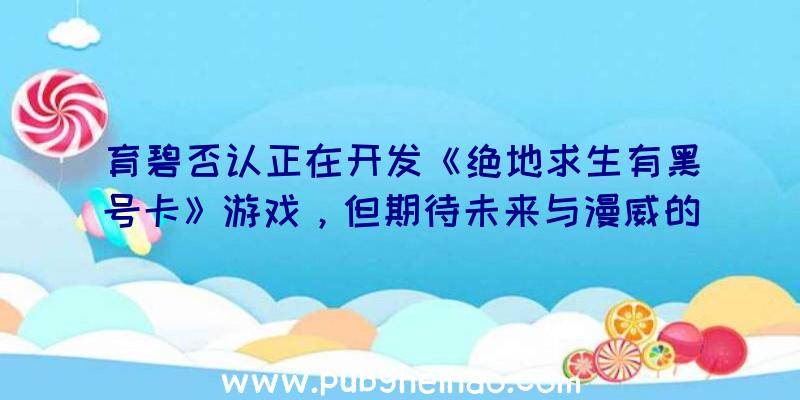 育碧否认正在开发《绝地求生有黑号卡》游戏，但期待未来与漫威的合作