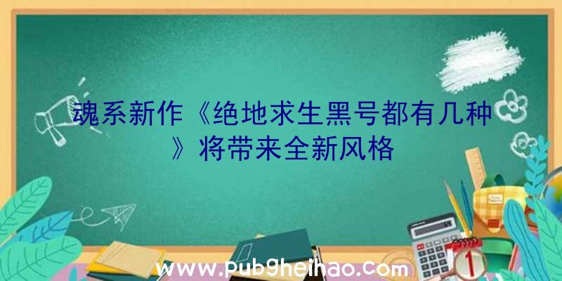 魂系新作《绝地求生黑号都有几种》将带来全新风格