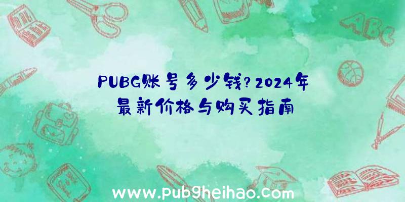 PUBG账号多少钱？2024年最新价格与购买指南