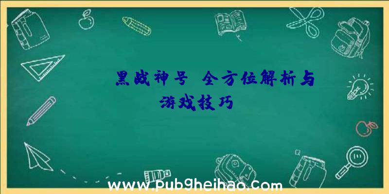 PUBG黑战神号:全方位解析与游戏技巧